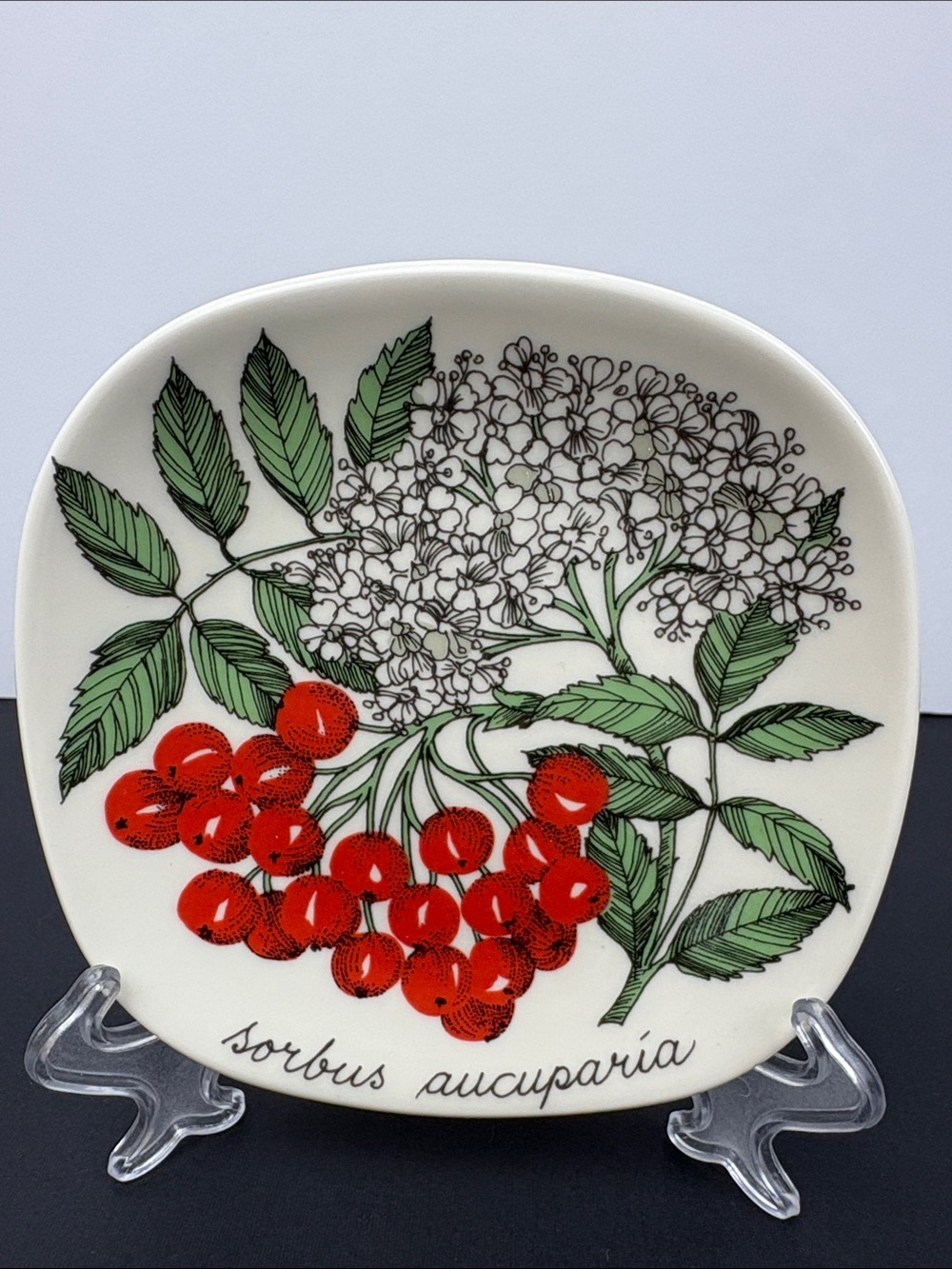 Arabia Finland Botanica Wall Plate Rowan Sorbus Aucuparia Flower Berries - Picture 2 of 6